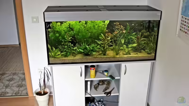 Wie alles begann... von Sebastian Philipp (3)