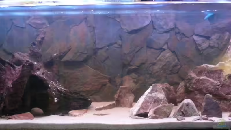 Wie alles begann von Ravenclaw57 (8)