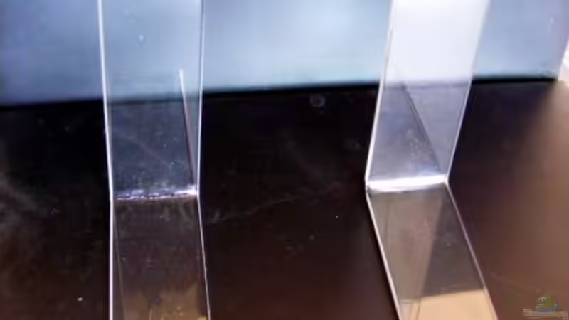 Wie die Aufnahmen im Becken sind von Falk (49)