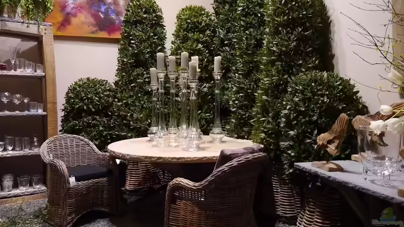 Wie eine Gartenlounge den Rhythmus des Tages beeinflusst