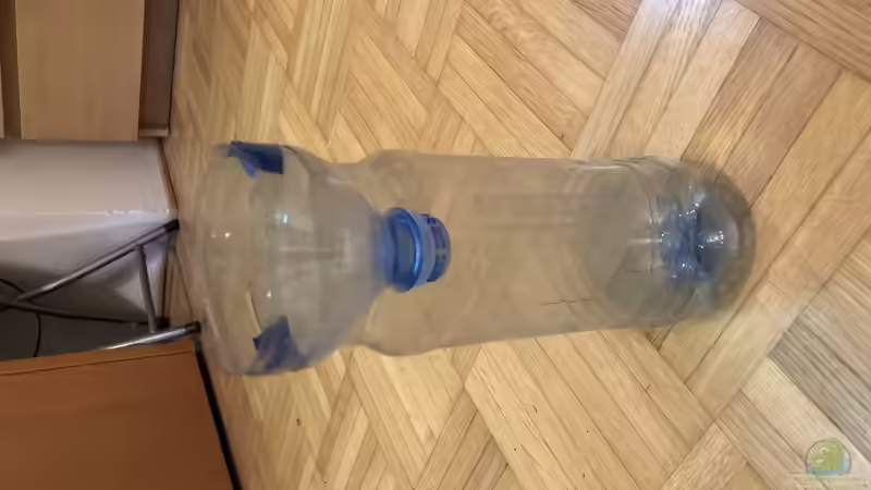 Wie fängt man flotte Fische im Aquarium?