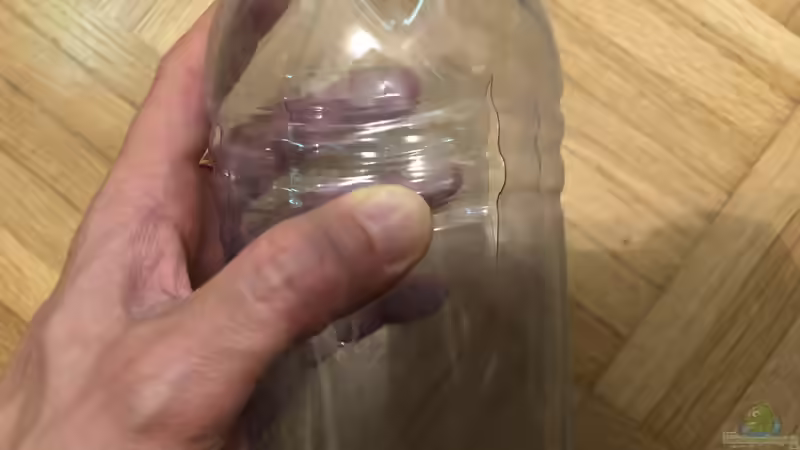 Wie fängt man flotte Fische im Aquarium?