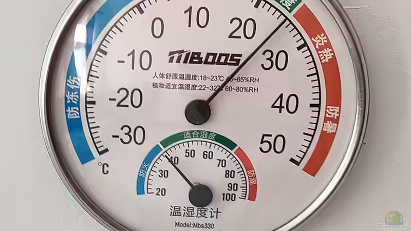 Wie funktioniert ein Hygrometer? Ein umfassender Leitfaden für Terrarium-Fans