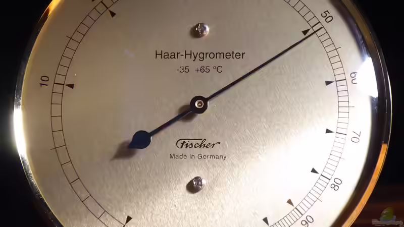 Wie funktioniert ein Hygrometer? Ein umfassender Leitfaden für Terrarium-Fans