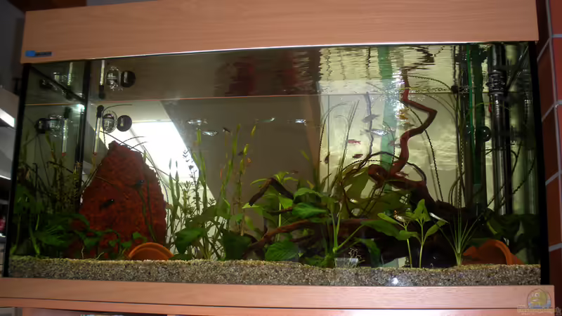 Wie ihr seht, ohne Hintergrund, als Raumtrenner aufgestellt. Blick Wohnzimmer in Küche