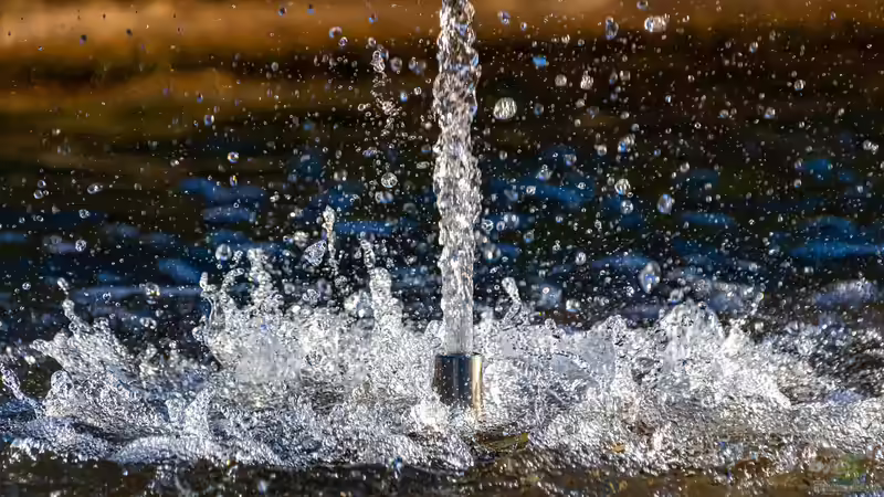 Wie kann man einen Springbrunnen im Garten oder Teich installieren?