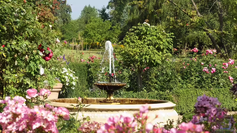 Wie kann man einen Springbrunnen im Garten oder Teich installieren?