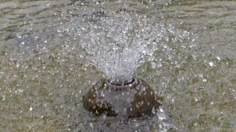 Wie kann man einen Springbrunnen im Garten oder Teich installieren?