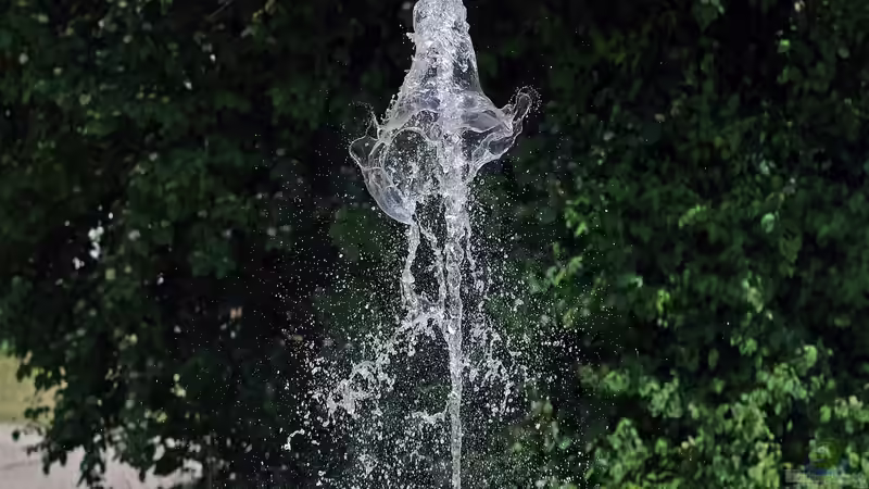 Wie kann man einen Springbrunnen im Garten oder Teich installieren?