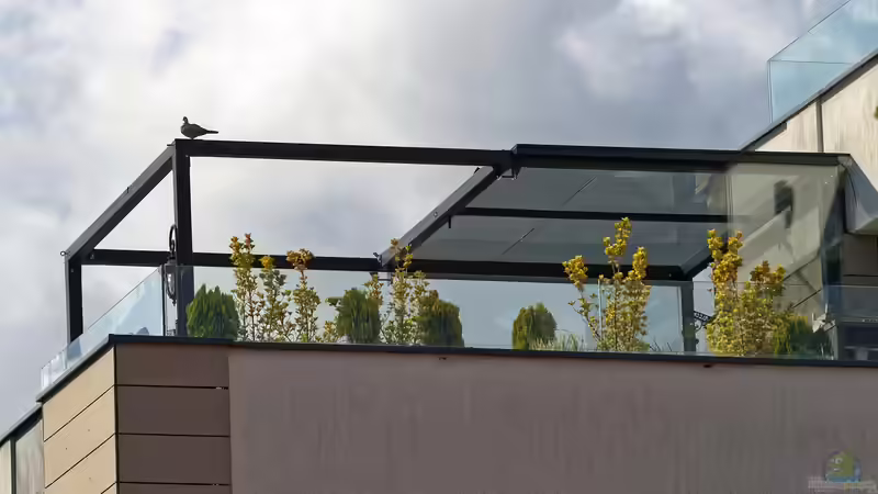 Wie kann man einen Teich in einen modernen Garten integrieren?