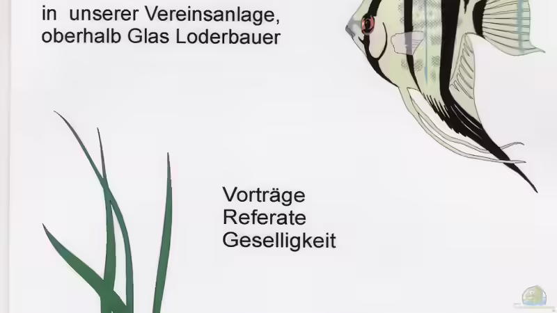 Wie machen es Aquarienvereine ?