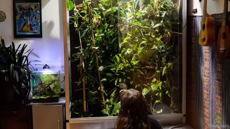 Wie man das Terrarium ästhetisch in die Wohnung integriert: Tipps und Tricks für ein harmonisches Wohnambiente