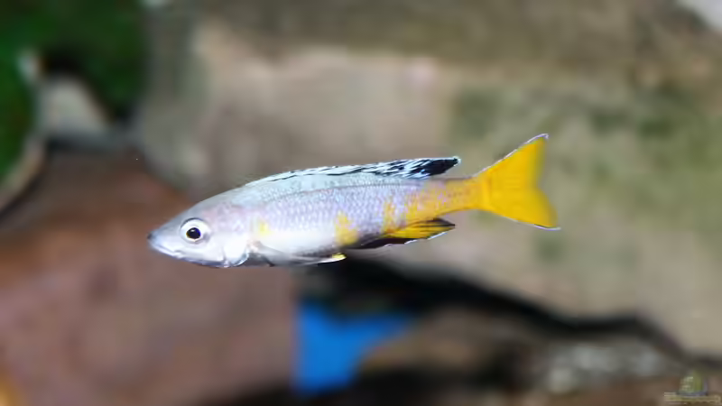 Wie sich die Farbe ändert in 7 Monaten von Gerald Kascha (16)