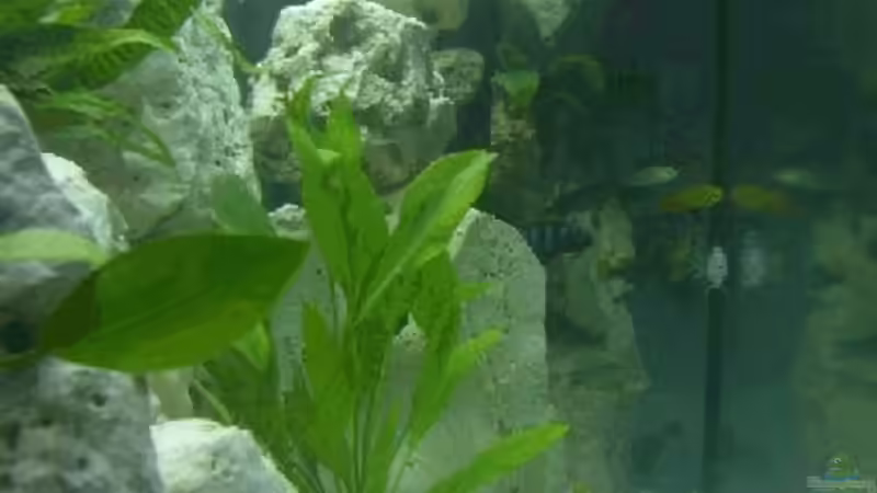 Wie vor... von Stefan Warmuth (4)