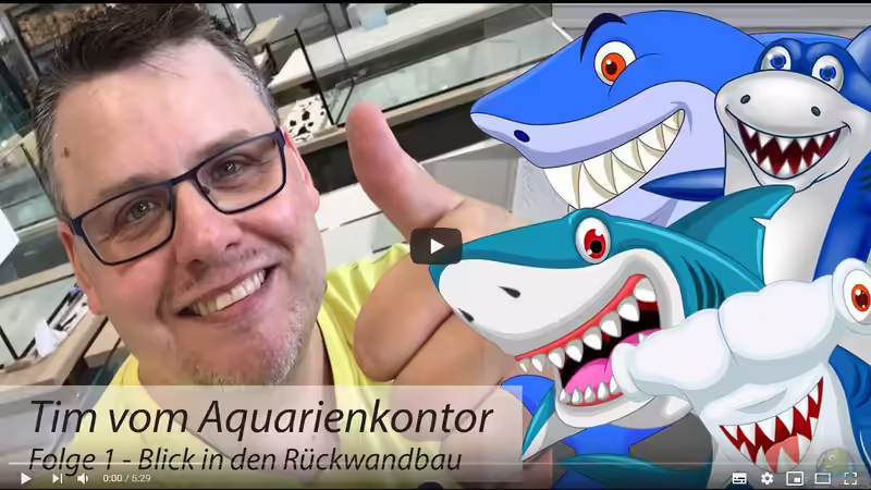 Wie wird ein Aquarium mit Rückwandfilter gebaut?