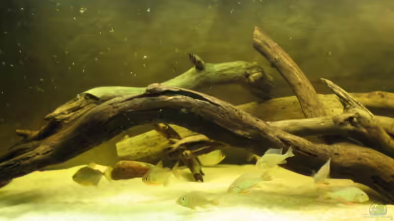 Wieder ein minimalistisches Becken von mir. von Kaffeesatzleser (1)