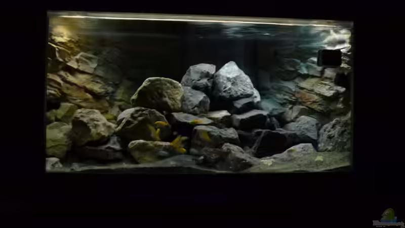 wildes treiben nach dem Einzug von Tobias.Neher (13)