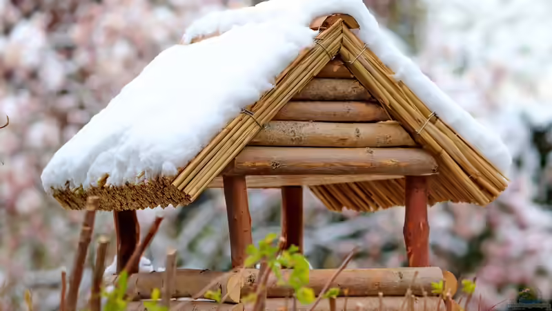 Wildtieren beim Überwintern helfen - Das können Gartenbesitzer tun