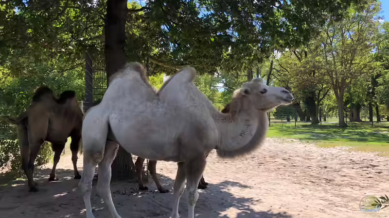 WILHELMA 1 - Zoologisch-Botanischer Garten in Stuttgart