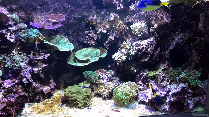 WILHELMA 2 - Zoologisch-Botanischer Garten in Stuttgart