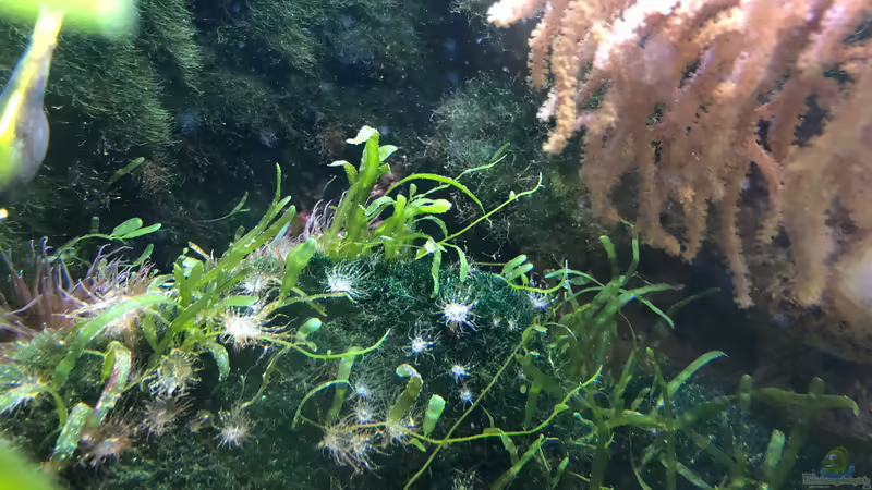 WILHELMA 2 - Zoologisch-Botanischer Garten in Stuttgart