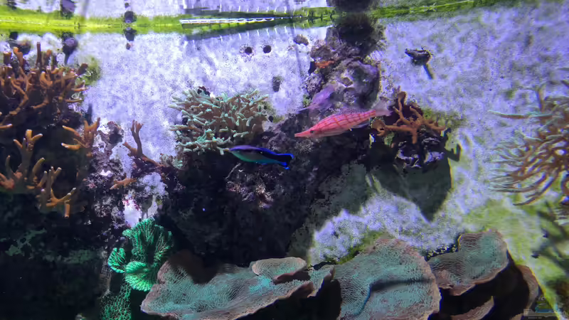 WILHELMA 2 - Zoologisch-Botanischer Garten in Stuttgart