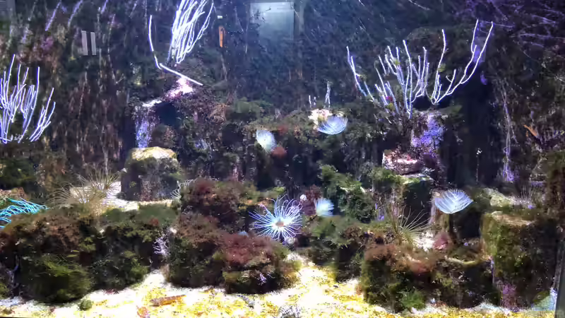 WILHELMA 3 - Zoologisch-Botanischer Garten in Stuttgart