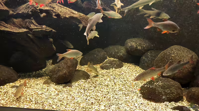 WILHELMA 5 - Zoologisch-Botanischer Garten in Stuttgart