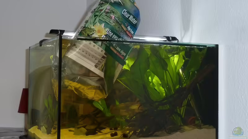 Willkommen von JohannesDD (26)