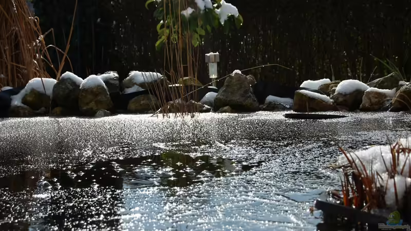 Winter von Sergio10 (8)