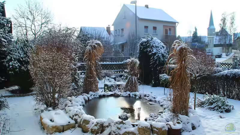 Winterpflege für Ihren Gartenteich: Zwischen Weihnachten und Neujahr aktiv werden