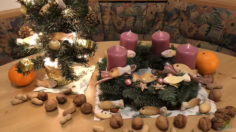 Wir backen uns Fische!