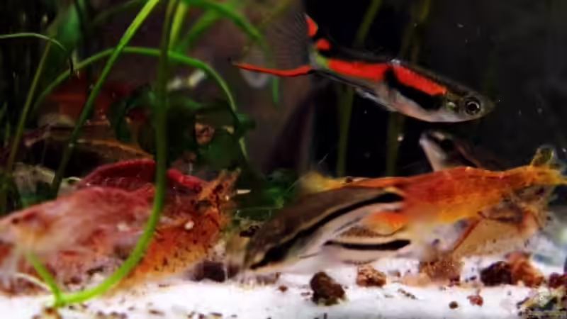 Wir haben Hunger !!! von snooze (88)