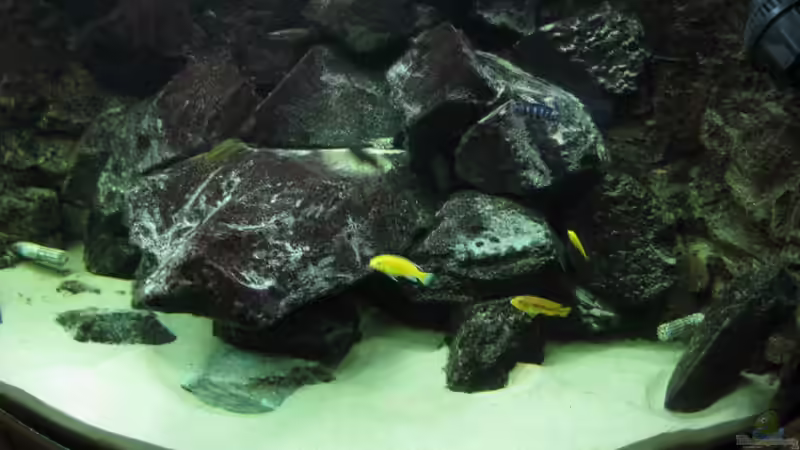 Wir sind neu 1 von HessiJames (28)