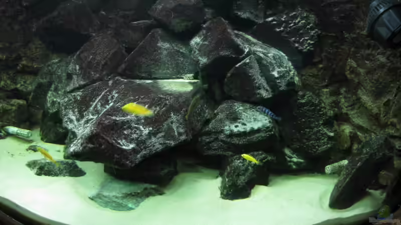 Wir sind neu hier 2 von HessiJames (29)