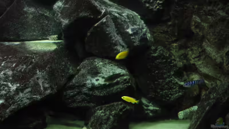 Wir sind neu hier 3 von HessiJames (30)