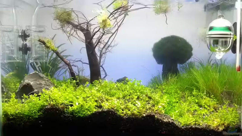 Wird immer besser von Schnegge (7)