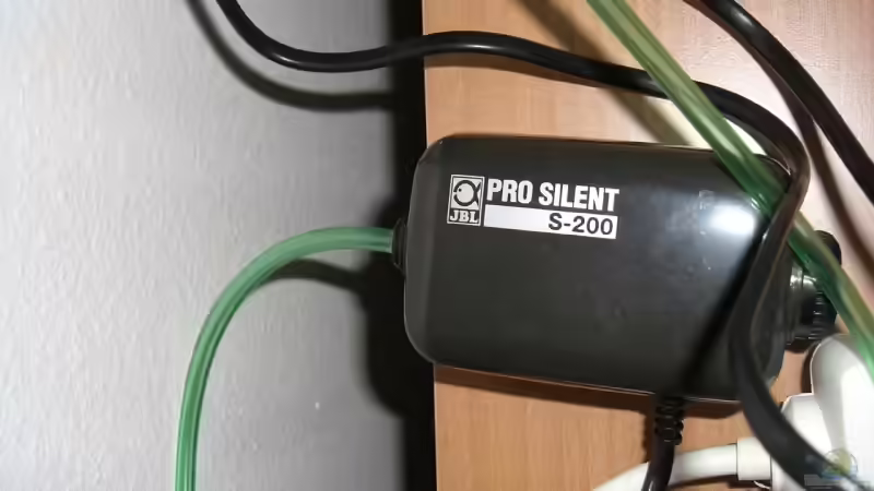 wirklich leise der kleine von maggo 28 (19)