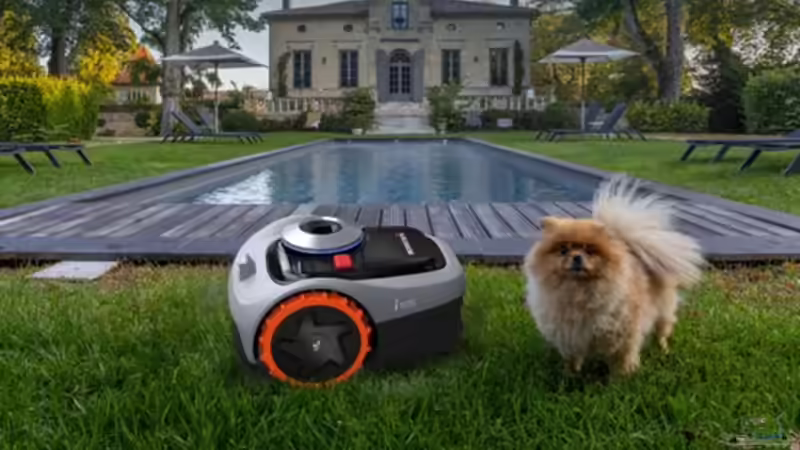 Wirkt der Rasen im Hinterhof langweilig? Werten Sie ihn mit einem Gartenteich auf