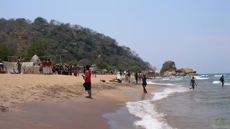 Wirtschaftliche Bedeutung des Malawisees