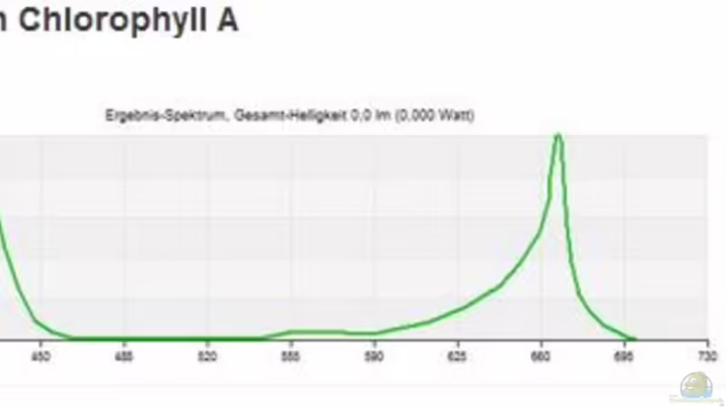 Wissenswertes über Beleuchtung