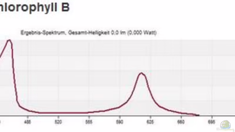 Wissenswertes über Beleuchtung