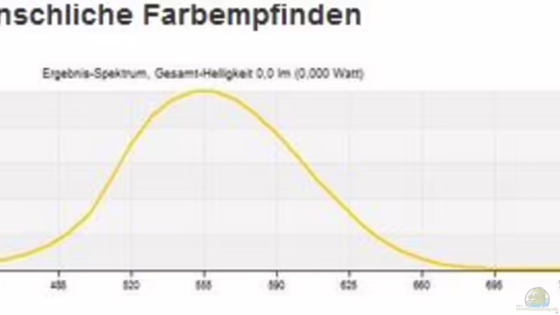 Wissenswertes über Beleuchtung