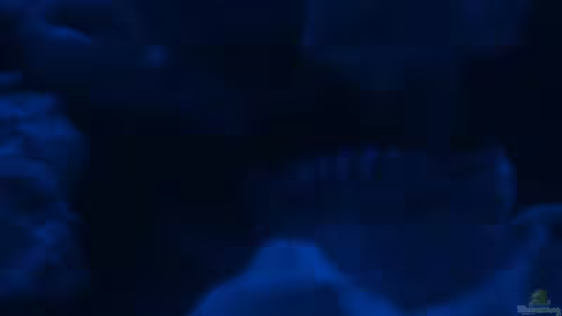 wo bin ich :-) von Bruno Dewald (9)