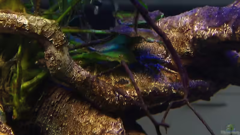 Wo isser denn?? :D von Erik H. (29)