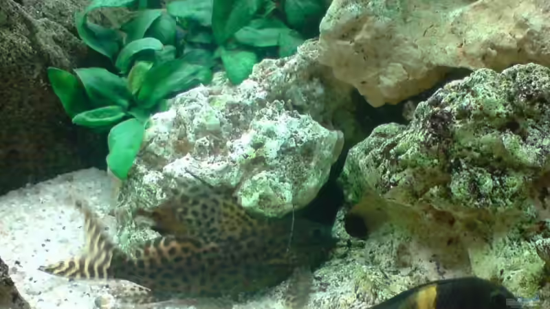 Wo ist hier eigentlich der Eingang? von Jonathan Helbig (19)