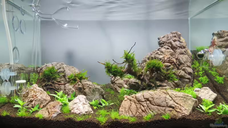 Woche 1 von BastiB (12)