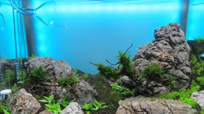 Woche 2 von BastiB (10)