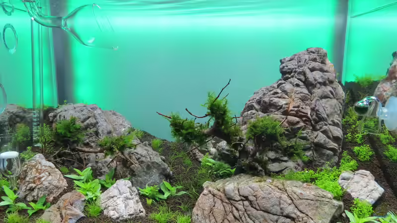 Woche 2 von BastiB (9)