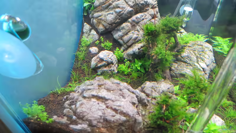 Woche 3 von BastiB (3)